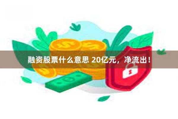 融资股票什么意思 20亿元，净流出！