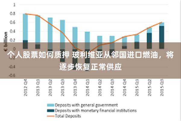 个人股票如何质押 玻利维亚从邻国进口燃油，将逐步恢复正常供应