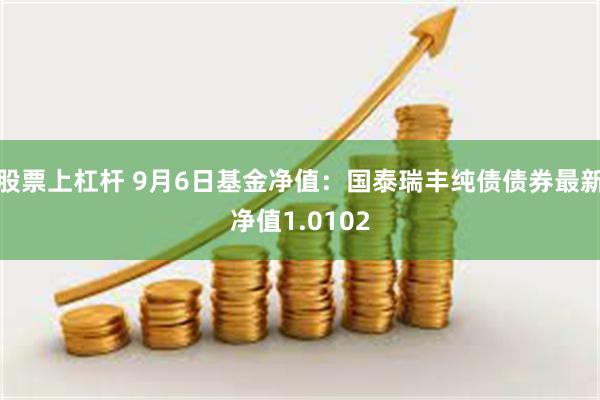 股票上杠杆 9月6日基金净值：国泰瑞丰纯债债券最新净值1.0102