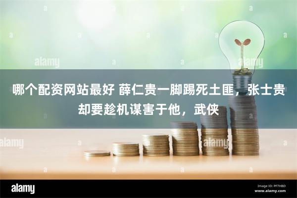 哪个配资网站最好 薛仁贵一脚踢死土匪，张士贵却要趁机谋害于他，武侠