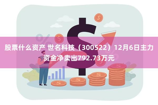 股票什么资产 世名科技（300522）12月6日主力资金净卖出792.73万元