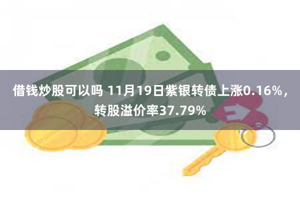 借钱炒股可以吗 11月19日紫银转债上涨0.16%，转股溢价率37.79%