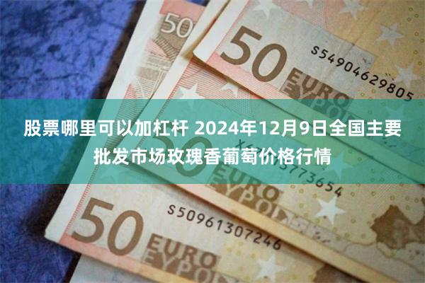 股票哪里可以加杠杆 2024年12月9日全国主要批发市场玫瑰香葡萄价格行情