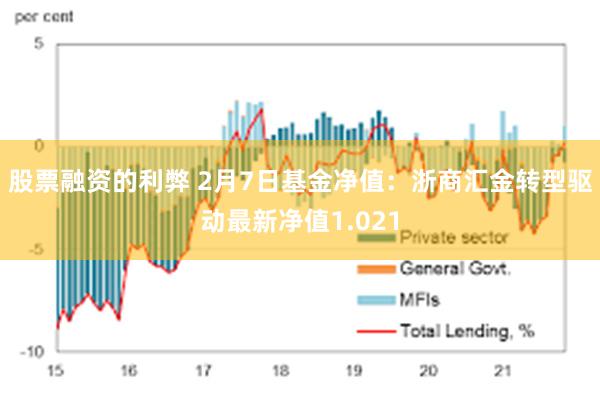 股票融资的利弊 2月7日基金净值：浙商汇金转型驱动最新净值1.021